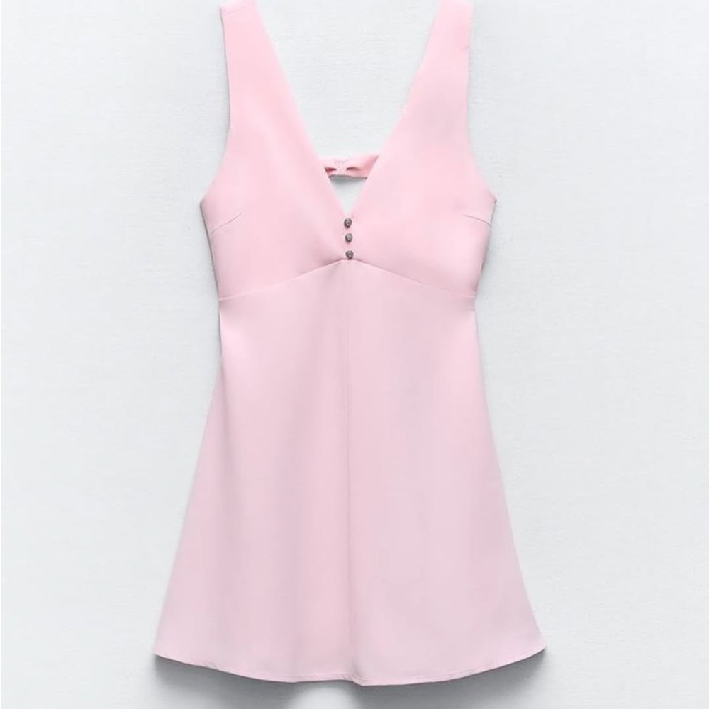 Zara Blush Pink Backless Dress